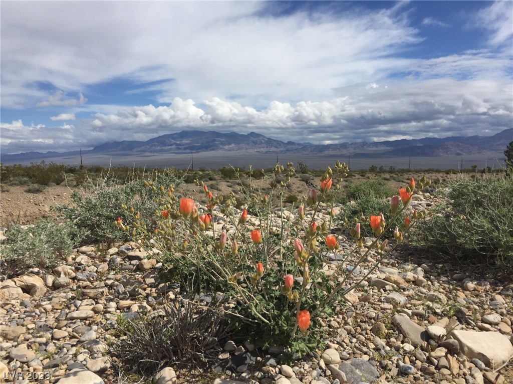 Kyle Canyon Road Las Vegas, NV 89166 - Photo 4 of 10