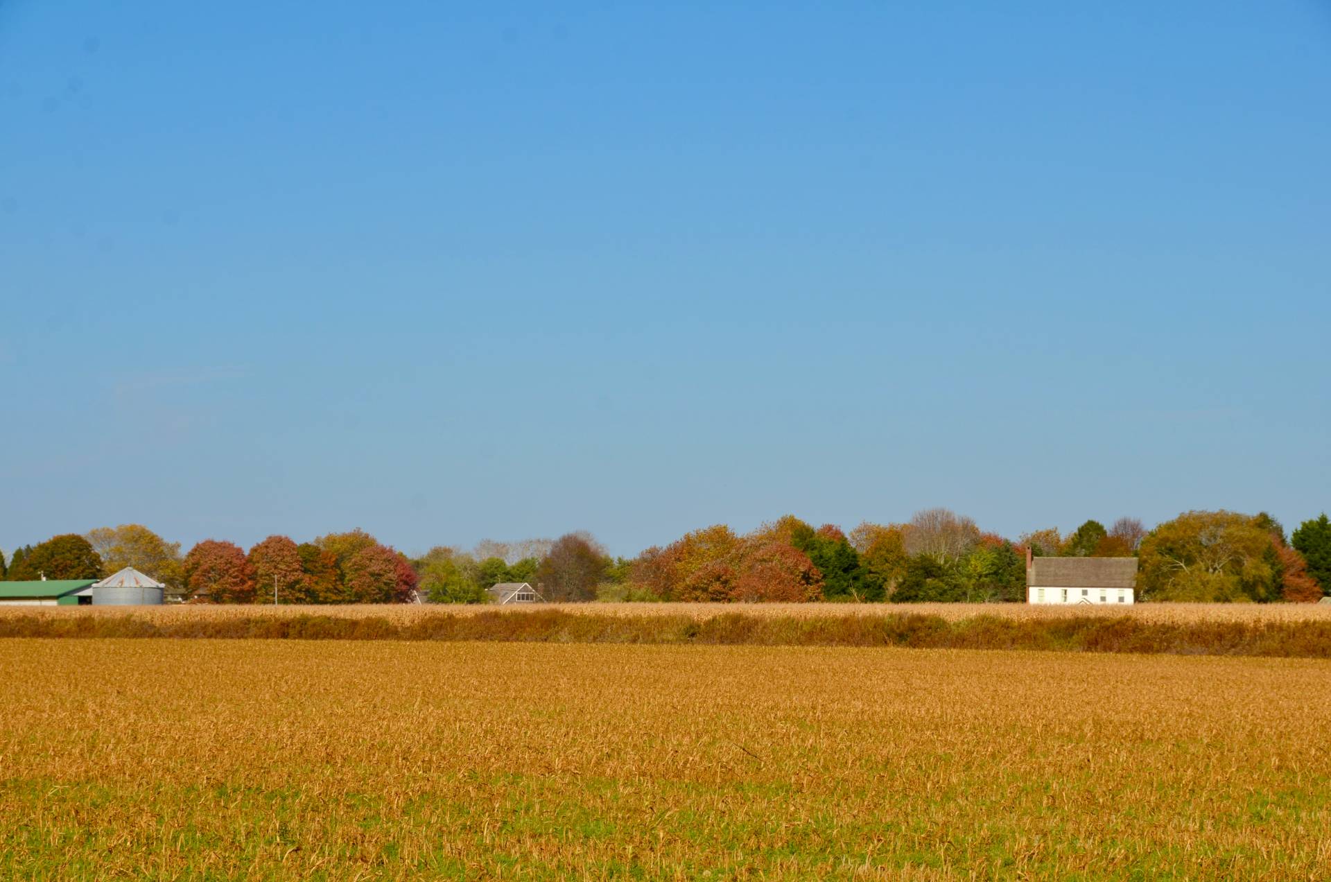 328 Town Line Road Sagaponack, NY 11962 - Photo 5 of 25 a view of an ocean from a beach