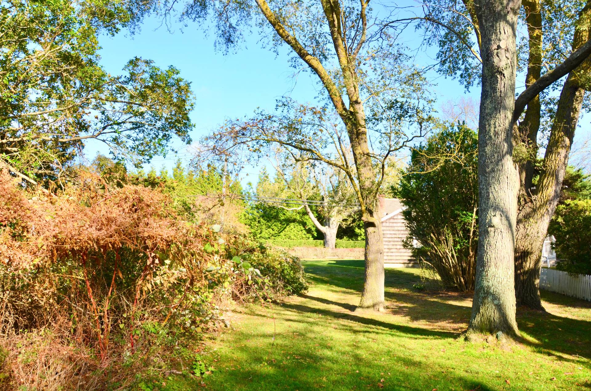 328 Town Line Road Sagaponack, NY 11962 - Photo 9 of 25 a view of a yard with wooden fence