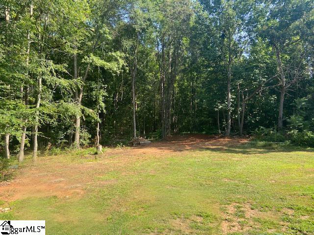 472 Knickerbocker Estates Road Fountain Inn, SC 29644 - Photo 22 of 34
