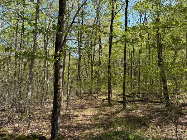 $85,000 | 7 County Highway, Roscoe, NY 12776