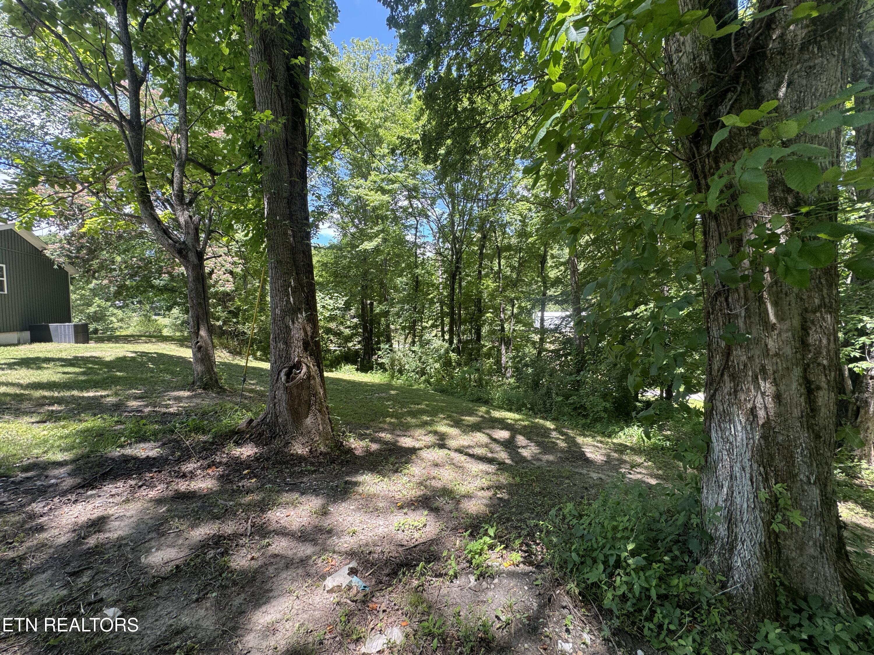 520 West Hill Road Huntsville, TN 37756 - Photo 43 of 44 IMG_5509