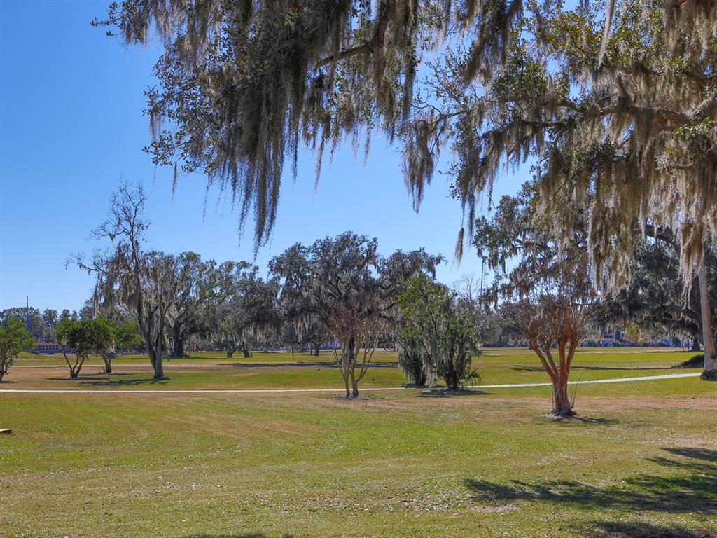 2140 East Main Street Bartow, FL 33830 - Photo 27 of 37 a view of a swimming pool with a garden and trees