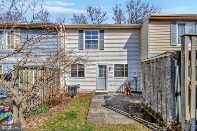 a view of street with tall trees