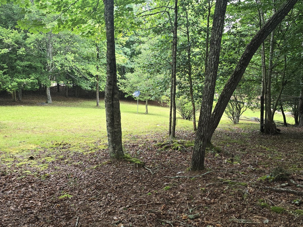 64 Green Oak Road Warne, NC 28909 - Photo 26 of 55