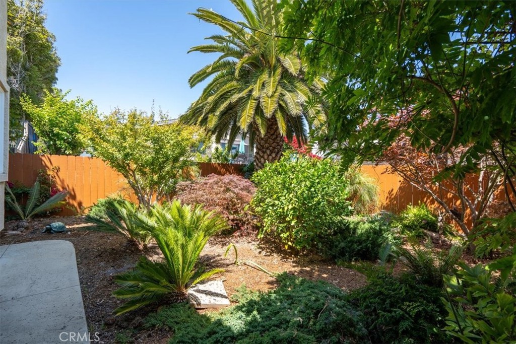 318 Indio Drive Pismo Beach, CA 93449 - Photo 47 of 58 a plant that is in a garden