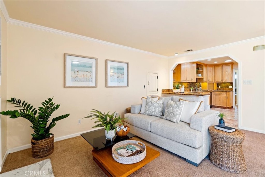 318 Indio Drive Pismo Beach, CA 93449 - Photo 8 of 58 a living room with furniture and a potted plant