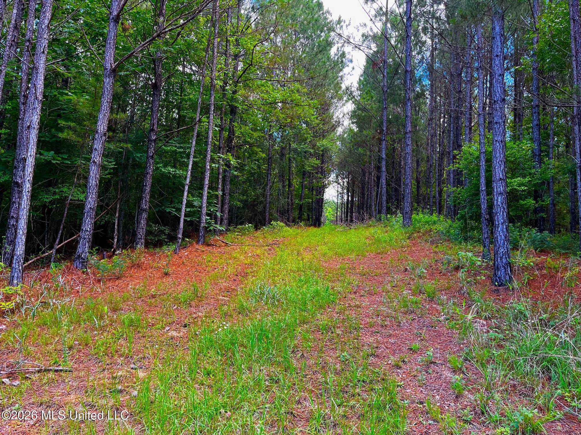 Arthur Drive Brookhaven, MS 39601 - Photo 15 of 20 ar15