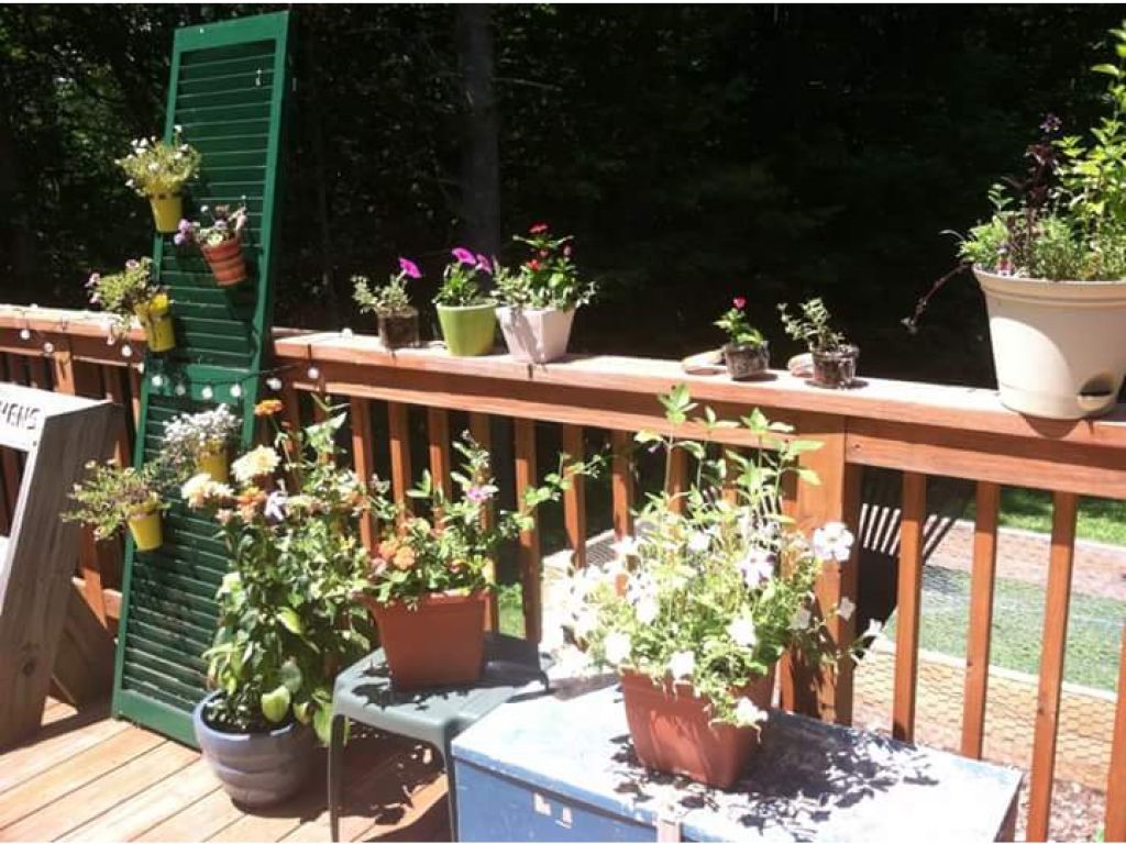 1596 Foxes Ridge Road Acton, ME 04001 - Photo 4 of 27