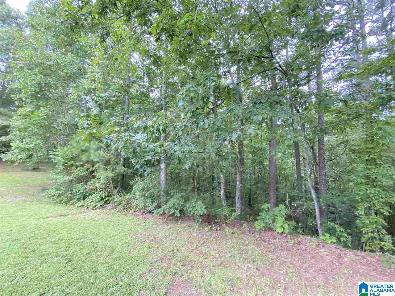4169 Cook Springs Road Pell City, AL 35125 - Photo 18 of 35