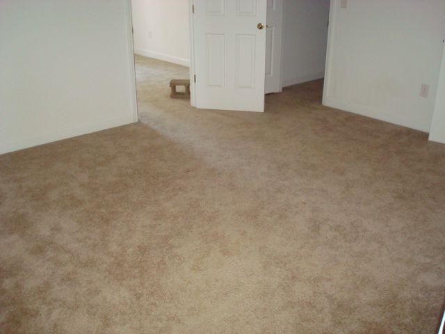 775 Durham Brown Road Seneca, SC 29678 - Photo 15 of 24 Gallery Image 15