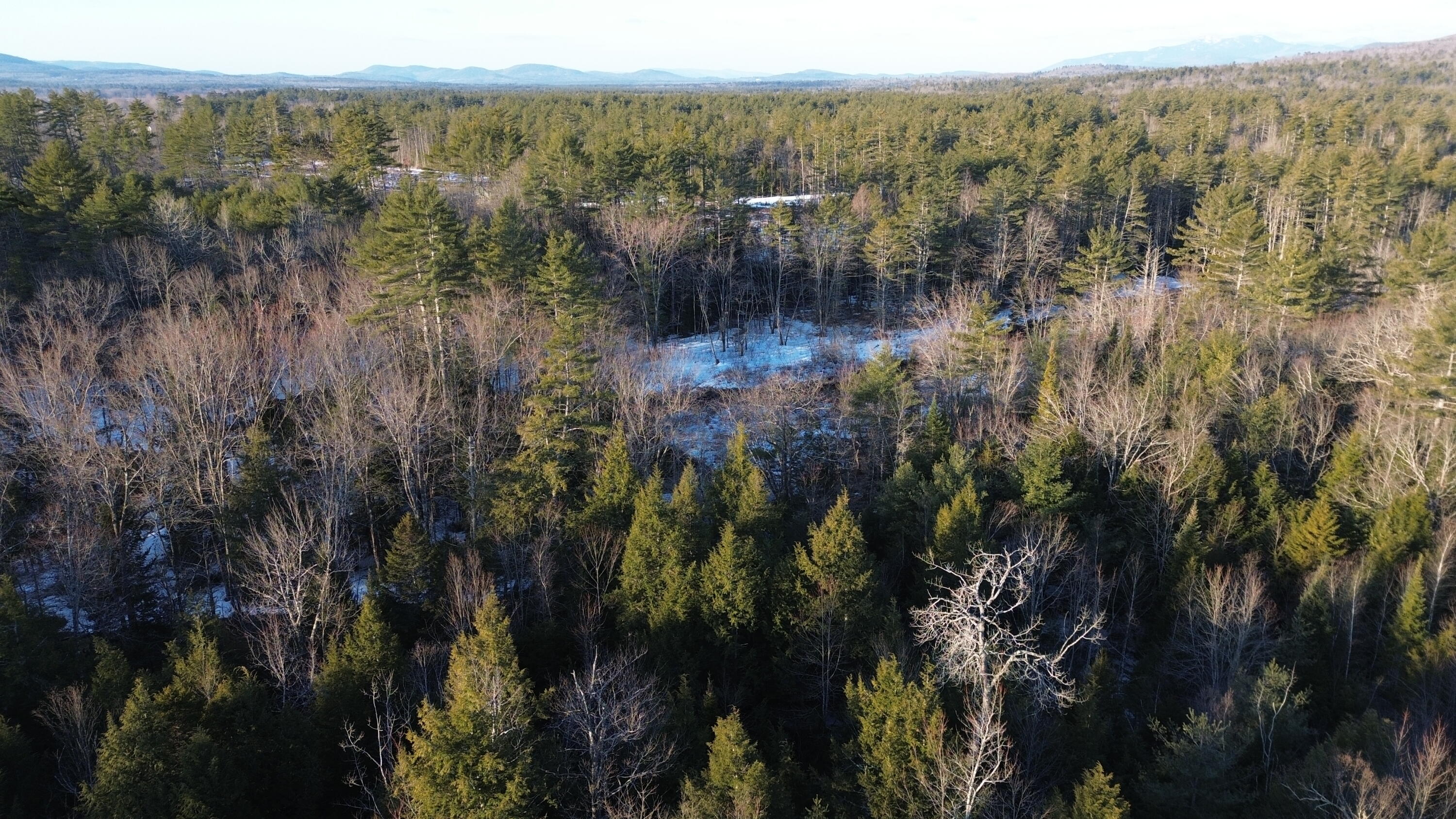 Map13-lot11 Field View Road Fryeburg, ME 04037 - Photo 5 of 37