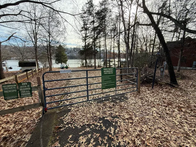 a view of a bench in a backyard