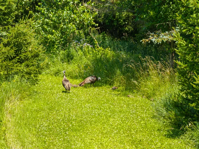 $3,400,000 | Lt1 Sunnyside Avenue, Lake Geneva, WI 53147