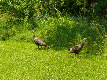 $3,750,000 | Lt1 Sunnyside Avenue, Lake Geneva, WI 53147