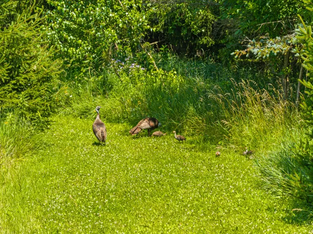 $3,400,000 | Lt1 Sunnyside Avenue, Lake Geneva, WI 53147