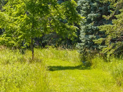 $3,750,000 | Lt1 Sunnyside Avenue, Lake Geneva, WI 53147