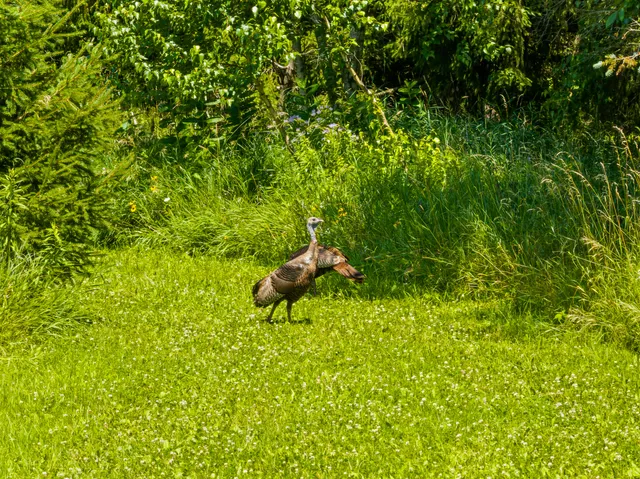 $3,400,000 | Lt1 Sunnyside Avenue, Lake Geneva, WI 53147