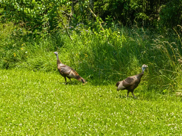 $3,400,000 | Lt1 Sunnyside Avenue, Lake Geneva, WI 53147