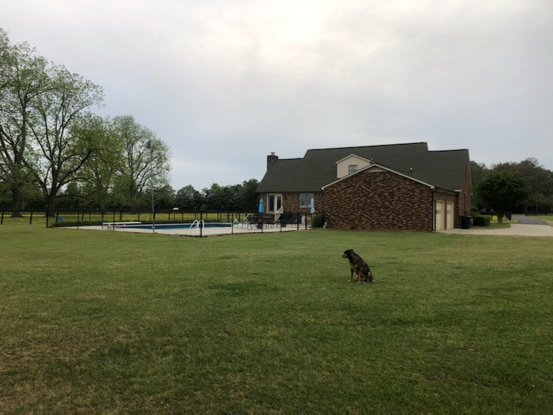 390 McElmurray Farm Road Jackson, SC 29831 - Photo 2 of 29