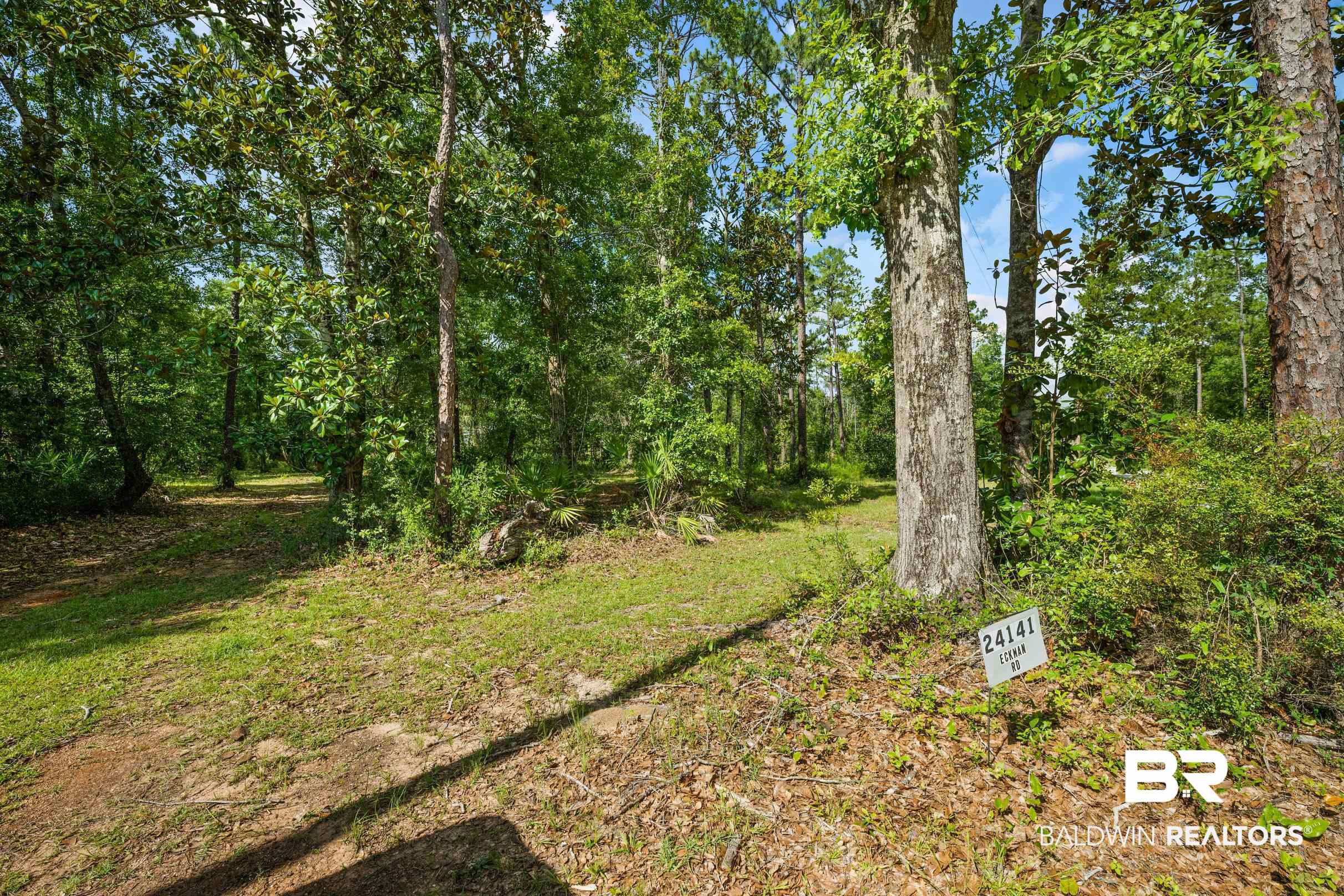 0 Eckman Road Elberta, AL 36530 - Photo 7 of 18 View of yard