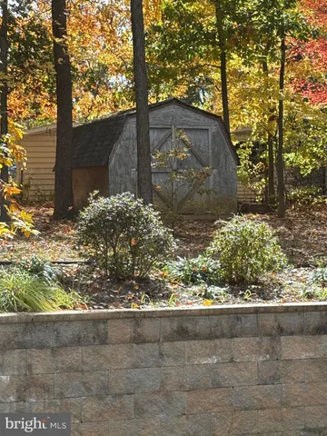 a view of a yard with plants