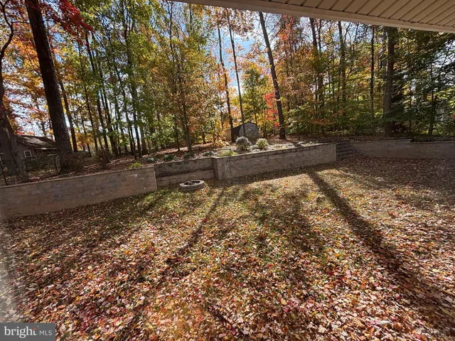 a view of a yard with large trees