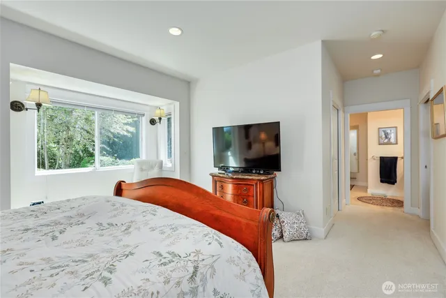 a view of a garden with plants and large trees