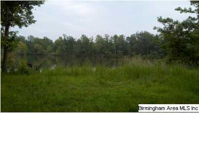 Wester Drive Ragland, AL 35131 - Photo 5 of 9 Gallery Image 5