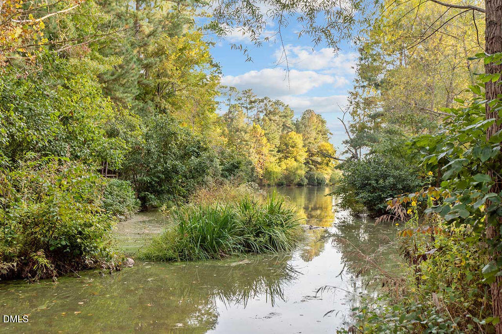 6 Geneva Court Durham, NC 27713 - Photo 40 of 44 DSC_1550