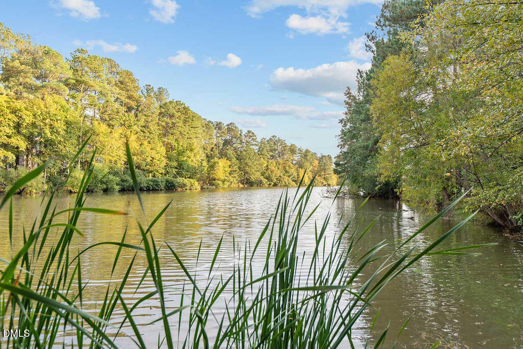 6 Geneva Court Durham, NC 27713 - Photo 41 of 44 DSC_1551