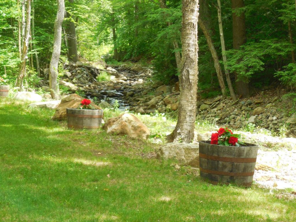 1507 Vermont Rte 100 Weston, VT 05161 - Photo 7 of 35
