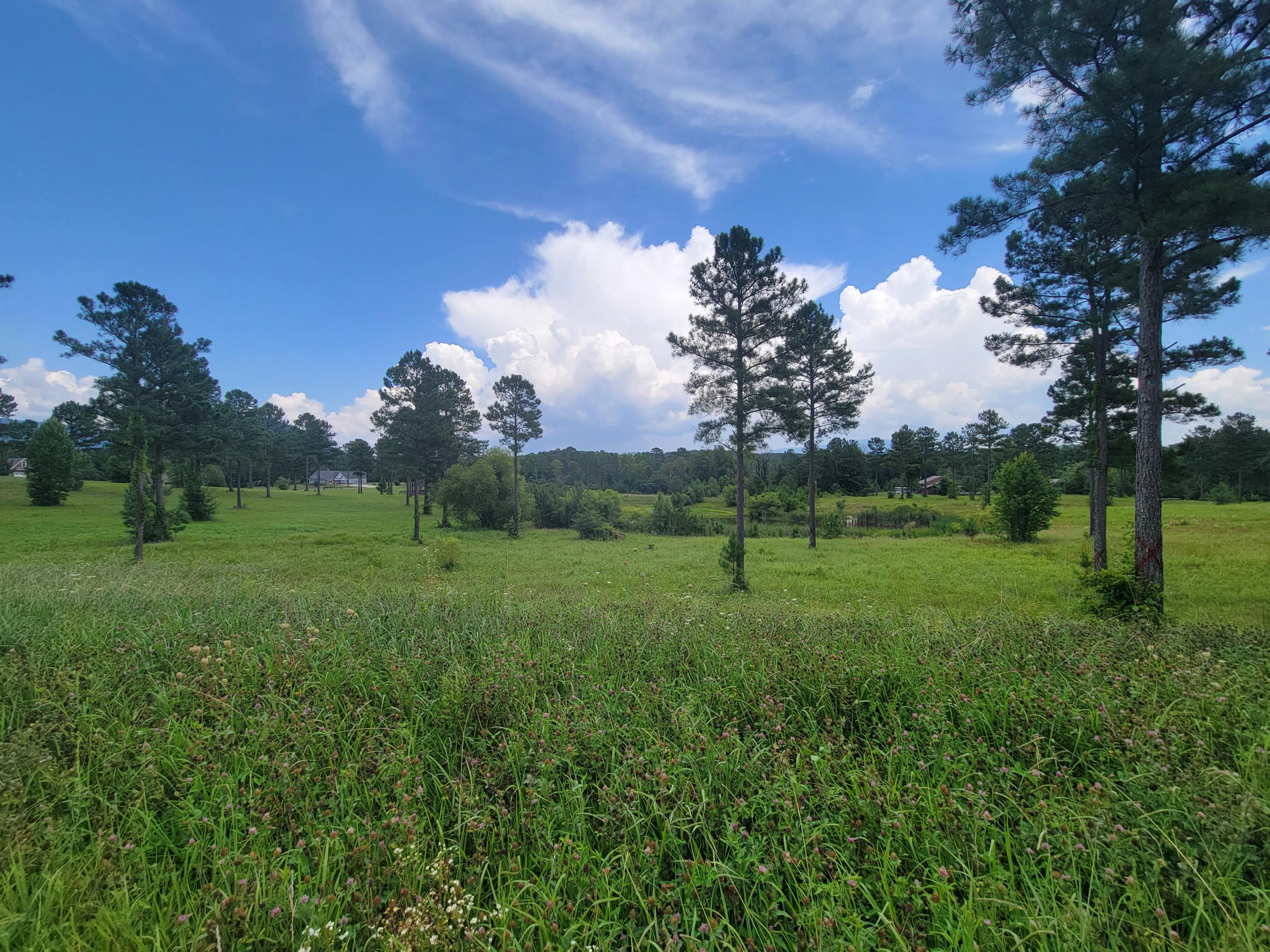 155 Bob White Road Ocoee, TN 37361 - Photo 3 of 11 20210716_144314