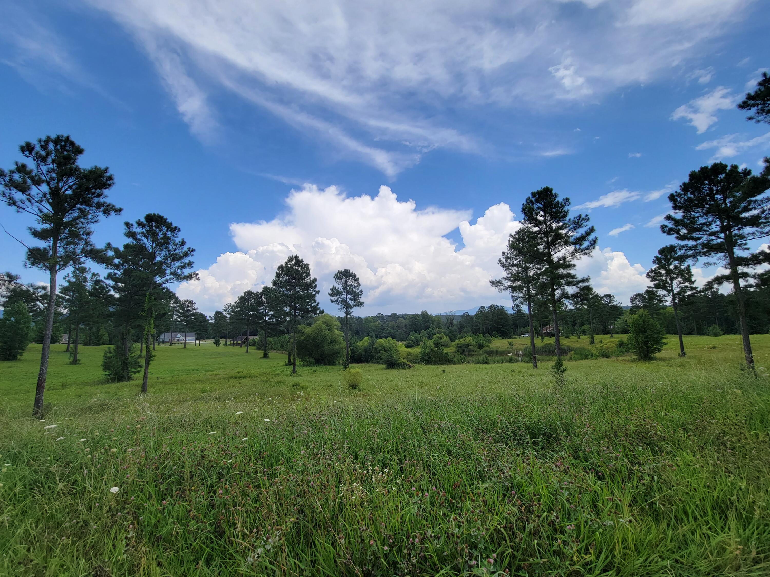 155 Bob White Road Ocoee, TN 37361 - Photo 4 of 11 20210716_144449
