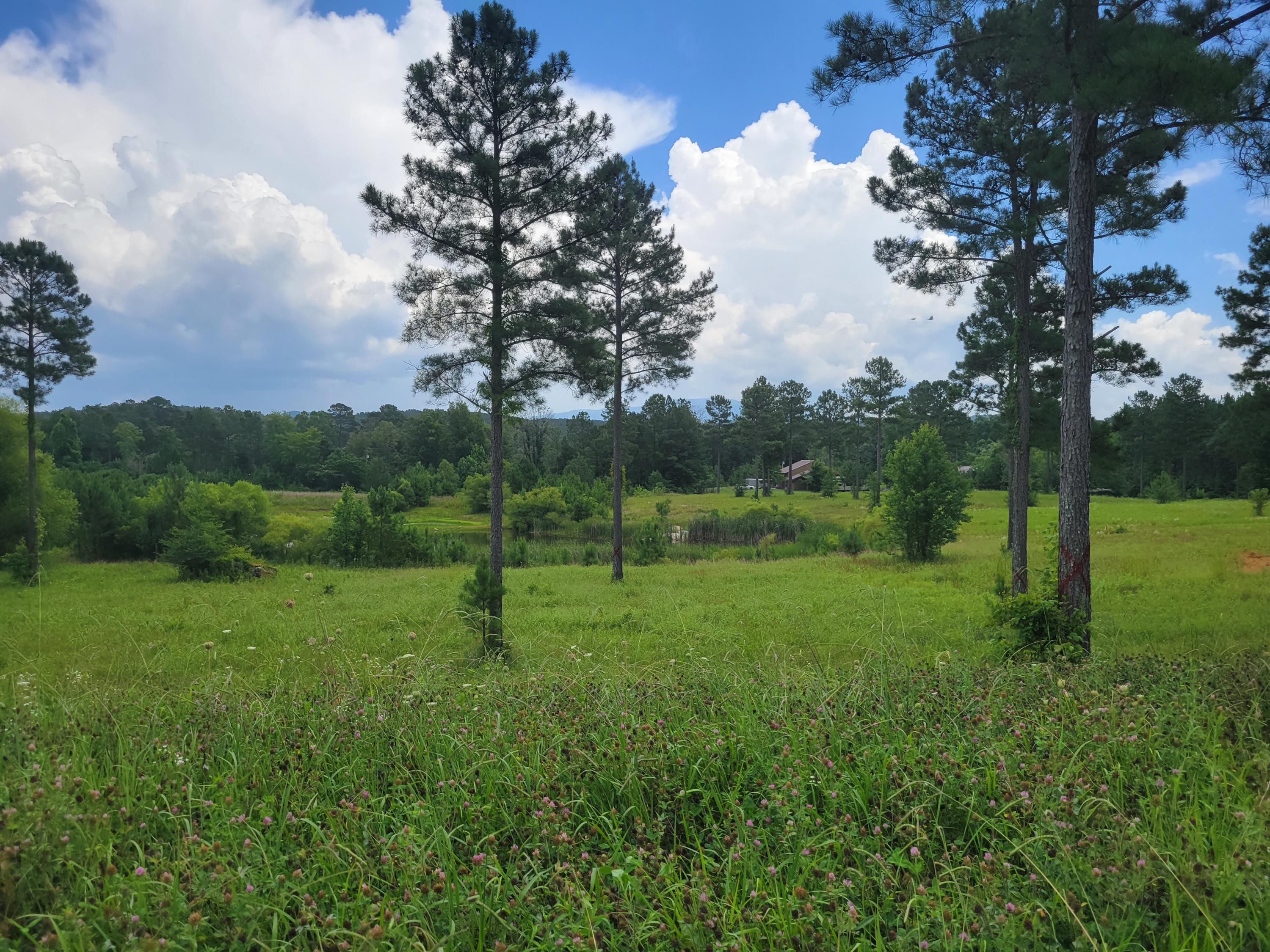 155 Bob White Road Ocoee, TN 37361 - Photo 6 of 11 20210716_144302