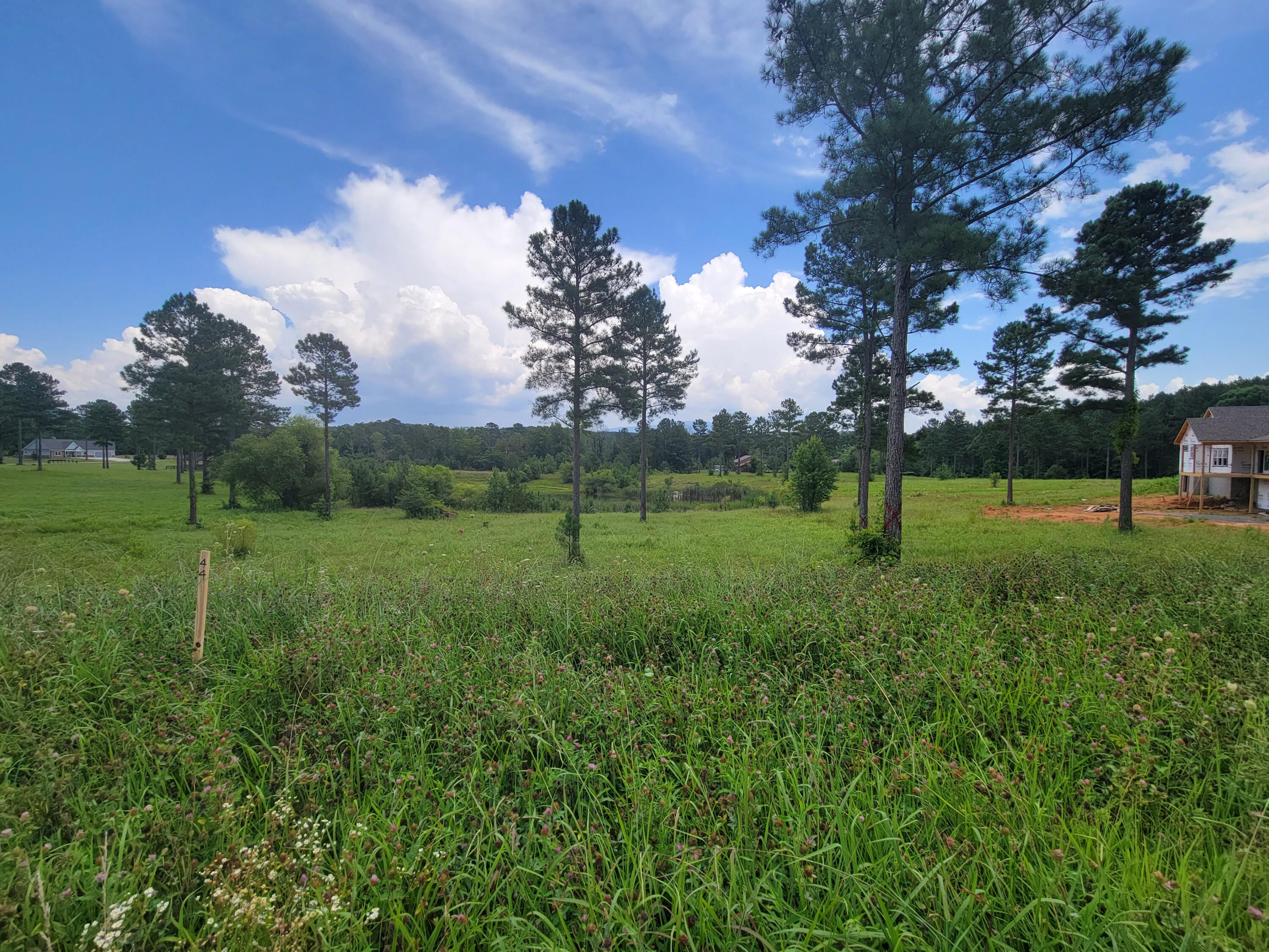 155 Bob White Road Ocoee, TN 37361 - Photo 8 of 11 20210716_144410