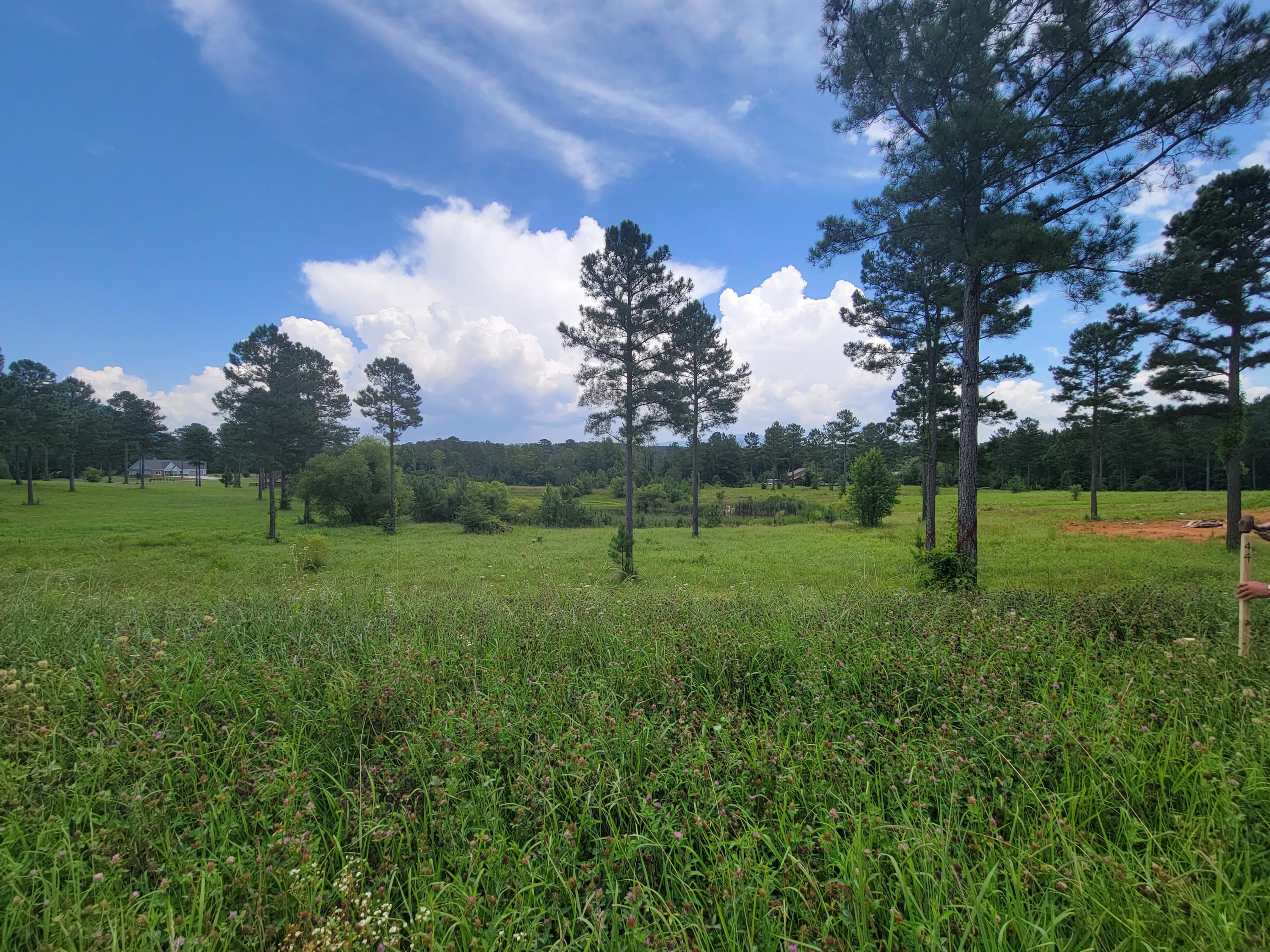 155 Bob White Road Ocoee, TN 37361 - Photo 10 of 11 20210716_144318