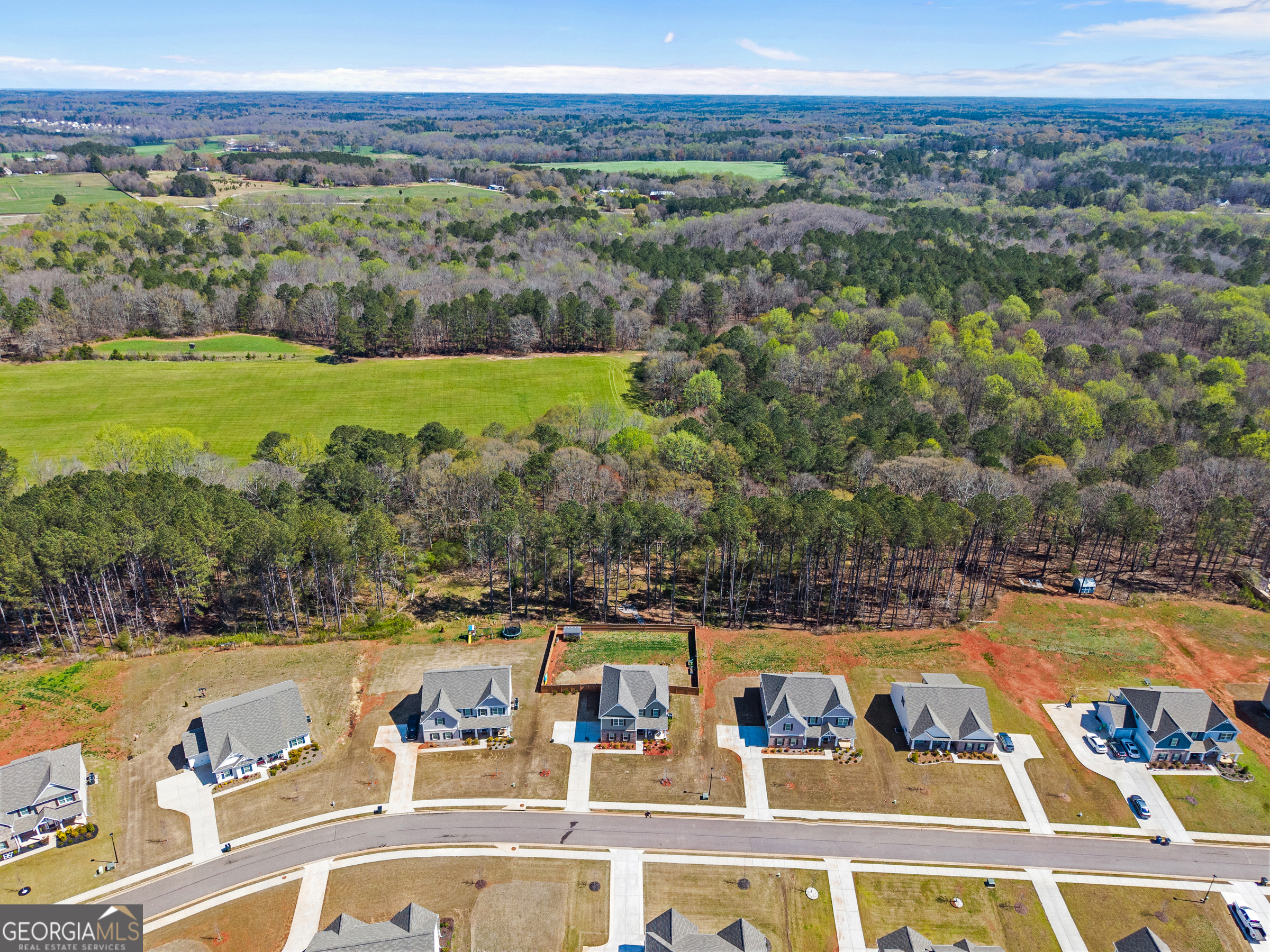 1356 Pne Vw Trail Monroe, GA 30656 - Photo 50 of 56