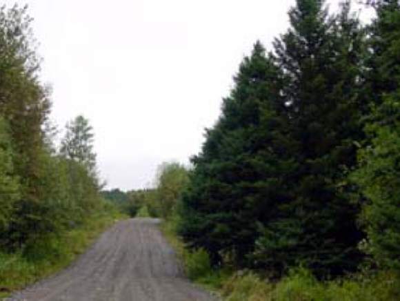 9 Roaring Brook Road Colebrook, NH 03576 - Photo 1 of 1