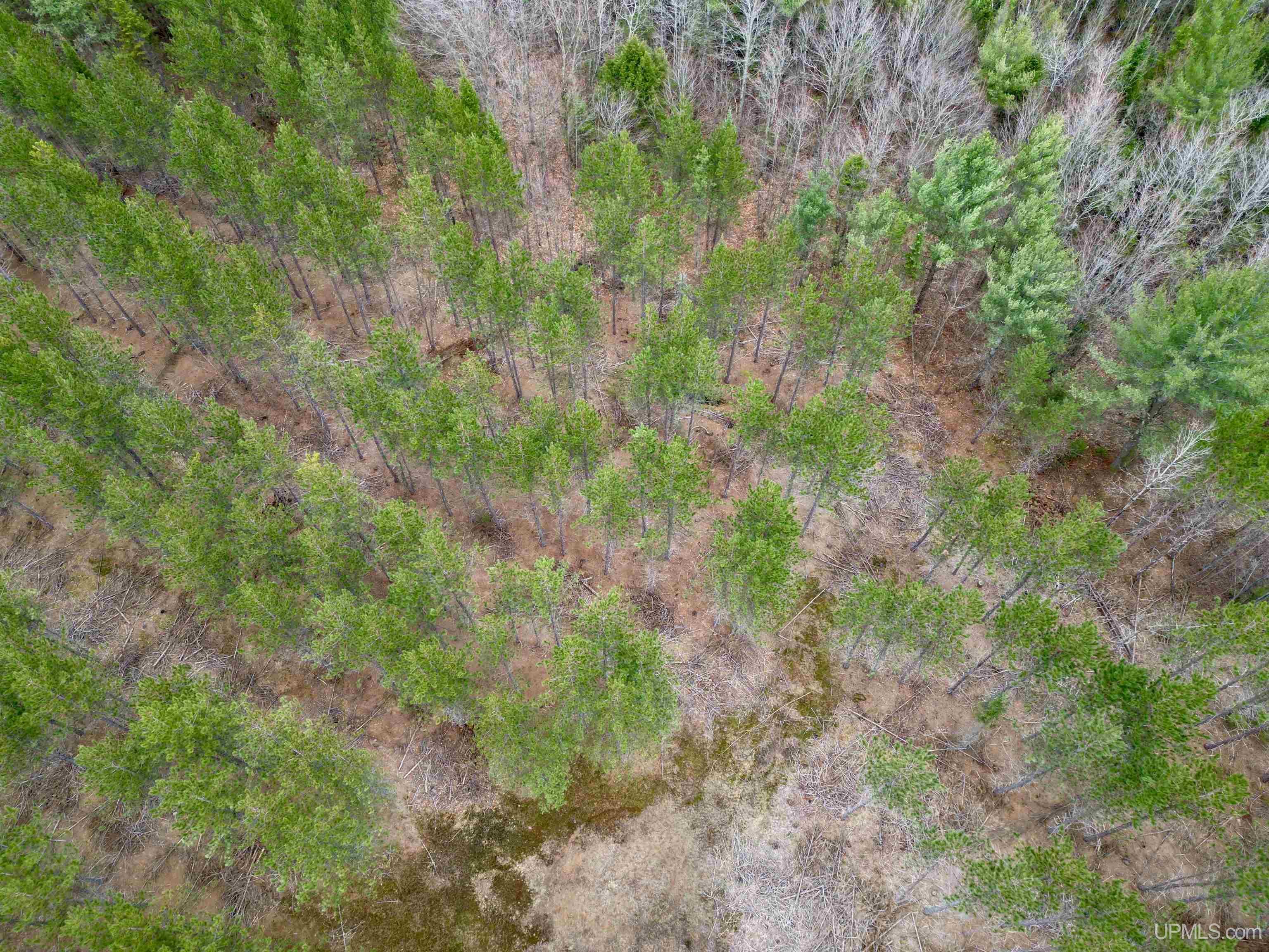 440 Rd Rapid River Rapid River, MI 49878 - Photo 4 of 11