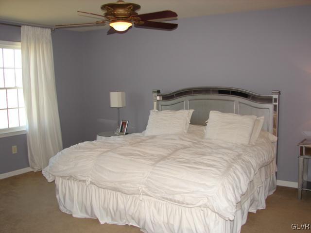 3391 Murphy Road Northampton, PA 18067 - Photo 6 of 22 Master Bedroom