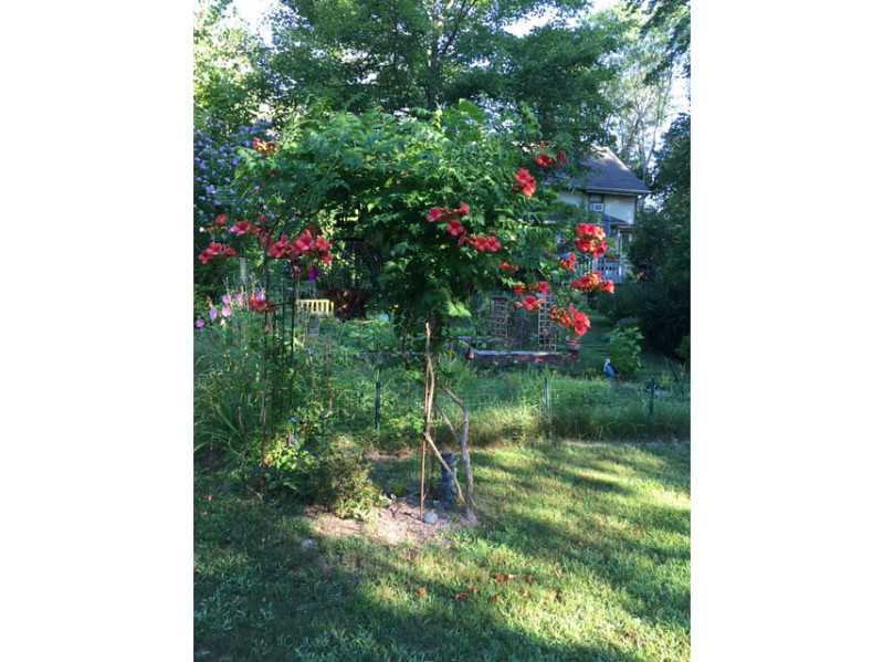 104 Spring Street Hopkinton, RI 02832 - Photo 16 of 18 Yard/Garden.