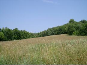 2133 Prindle Road Charlotte, VT 05445 - Photo 1 of 2 Gallery Image 1