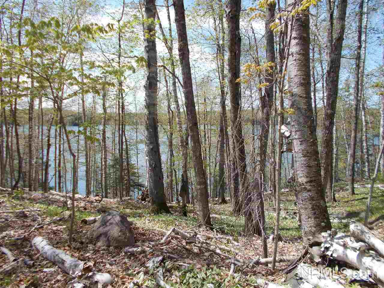 7202 Elm Road Republic, MI 49879 - Photo 15 of 36