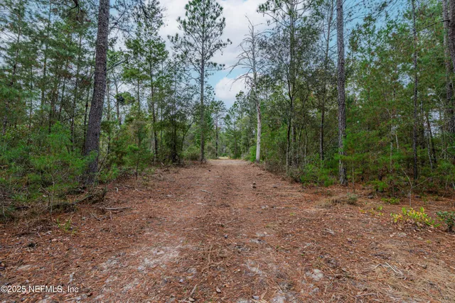 $149,900 | 0 Cactus Hill Drive, Melrose, FL 32666