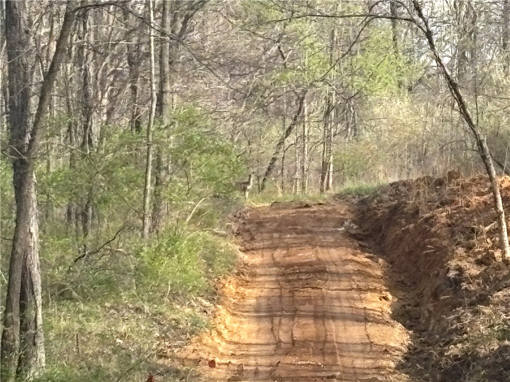 Applegate Road Bridgeport, IL 62417 - Photo 16 of 17