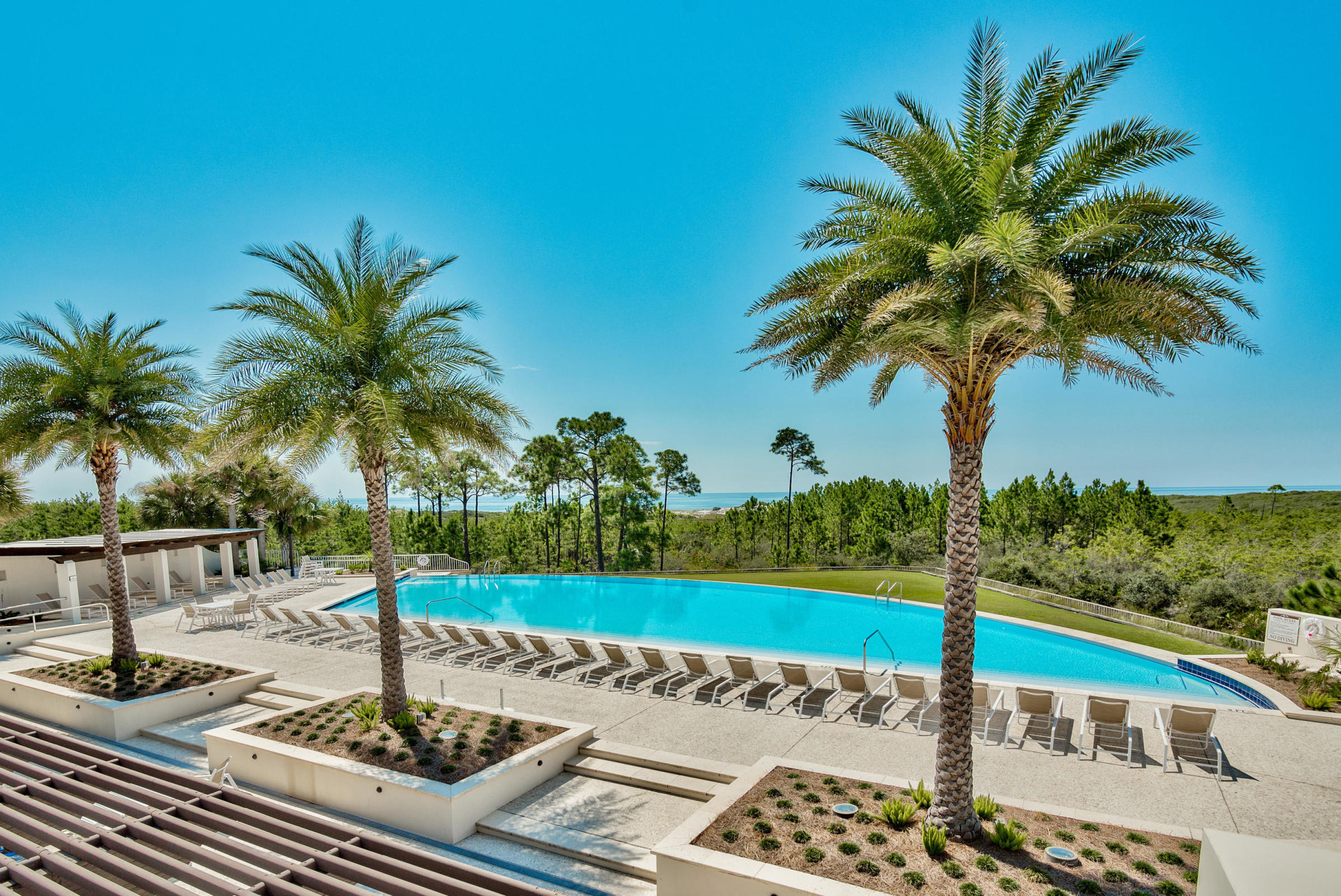 Lot 26 Cypress Ridge Santa Rosa Beach, FL 32459 - Photo 16 of 58 Pool and palm trees