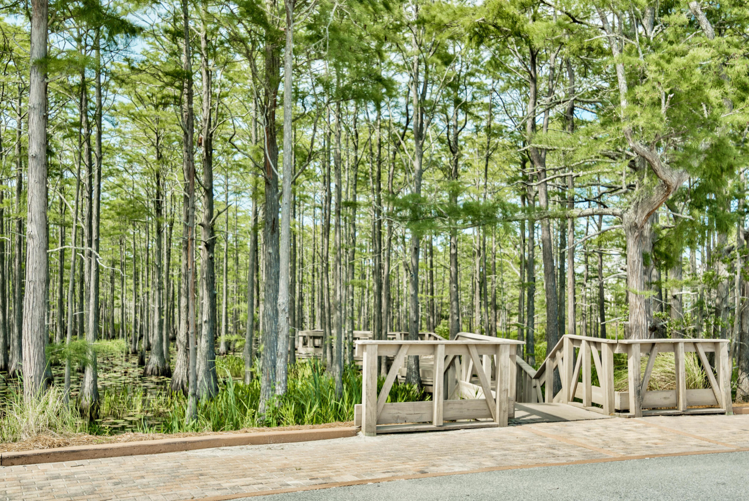 Lot 26 Cypress Ridge Santa Rosa Beach, FL 32459 - Photo 35 of 58 Boardwalk in Cypress Pond