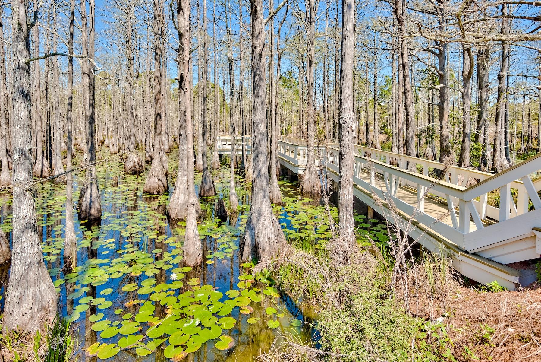 Lot 26 Cypress Ridge Santa Rosa Beach, FL 32459 - Photo 40 of 58 Cypress Pond and boardwalk Phase 1