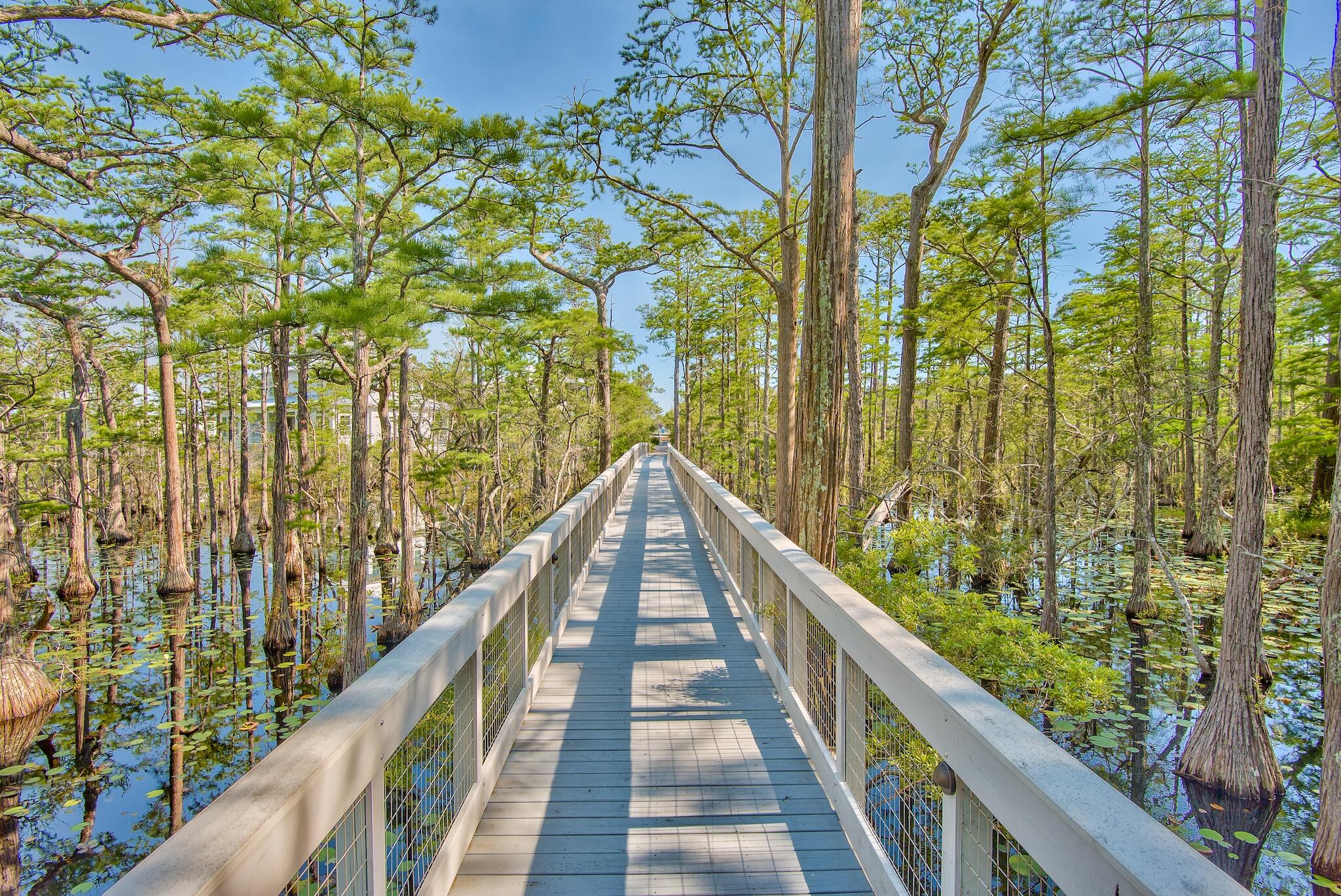 Lot 26 Cypress Ridge Santa Rosa Beach, FL 32459 - Photo 52 of 58 Boardwalk through Cypress Pond